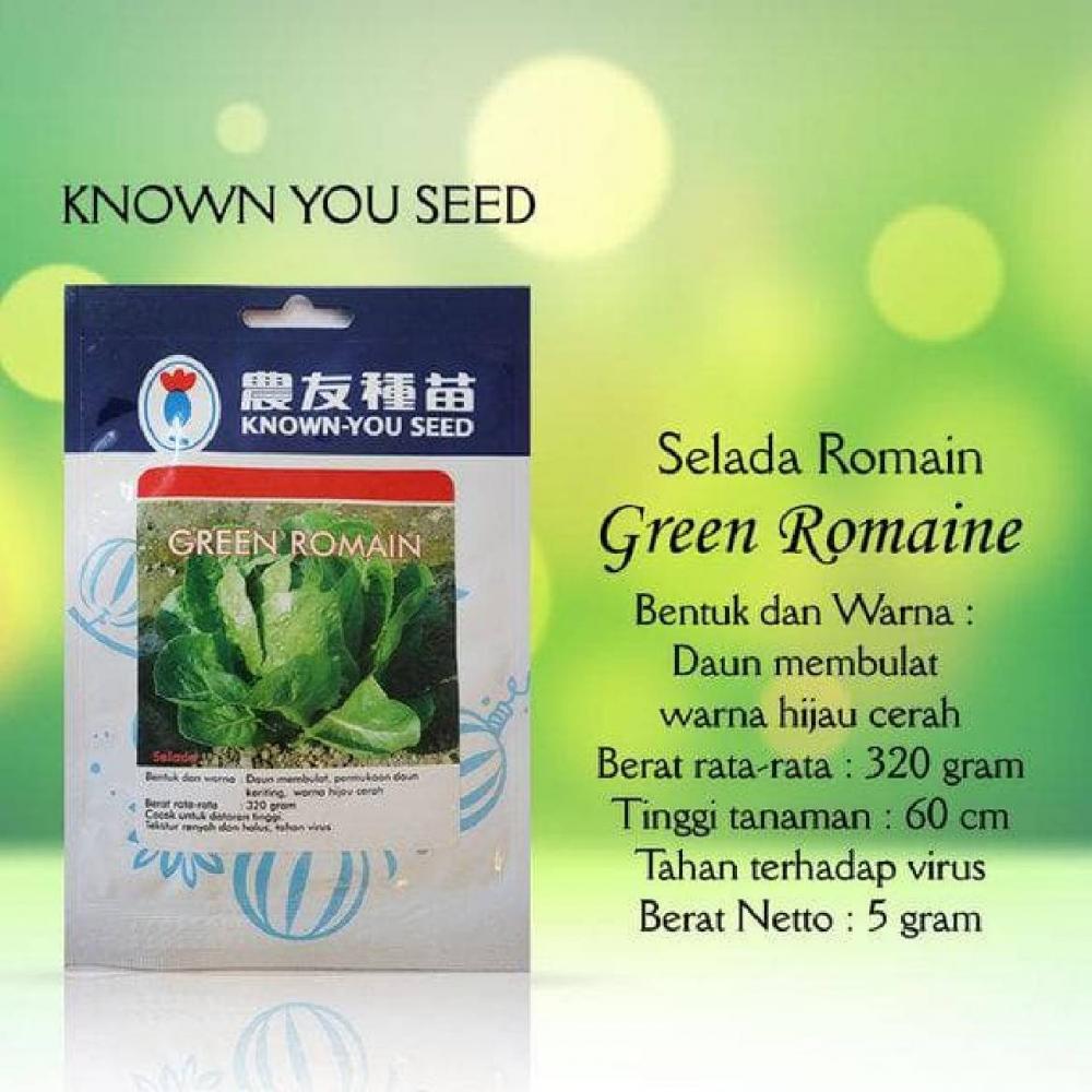 √ Harga Known You Seed Benih Selada Green Romaine 10 Gram Terbaru