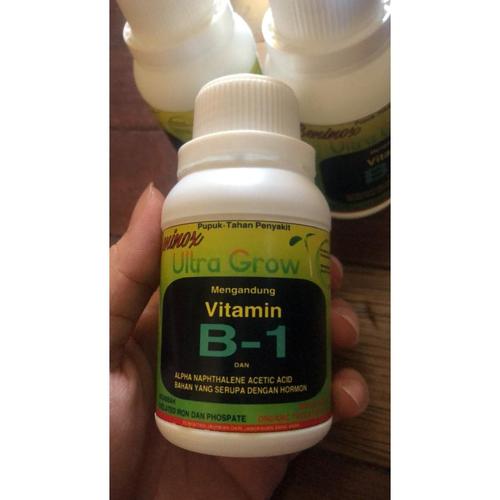 PUPUK VIT B1 VITAMIN - Vitamin B1 Tanaman Tahan Penyakit Beninox 100ml