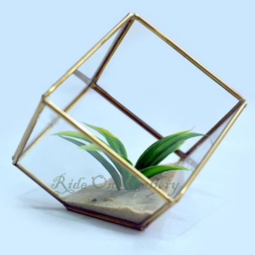Terrarium kotak pojok segitiga murah bagus 10x10x10 CM