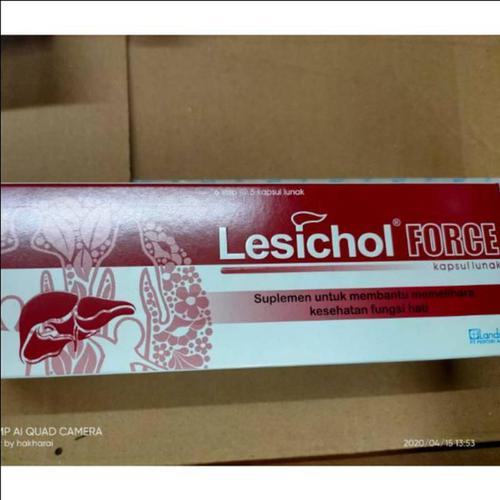 Original Lesichol Force Box Isi 30