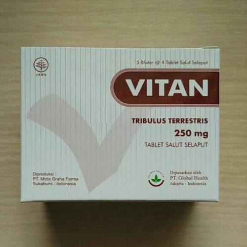 Original Vitan 250 mg Box Isi 20 Tablet