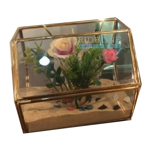 Terrarium box perhiasan vas bunga segi 6 tabung (12X Q12XT11) cm