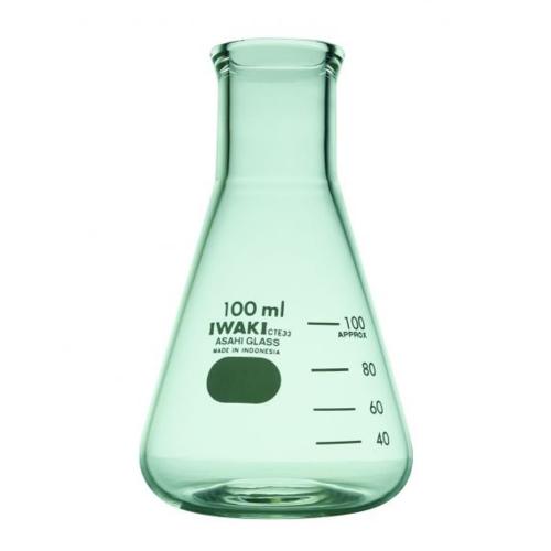 IWAKI Erlenmeyer Flask 100 ml [4980FK100]