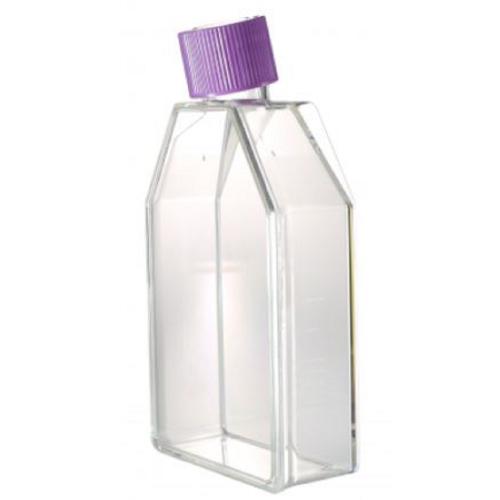 IWAKI Tissue Culture Flask Treated 70 ml 10 Pcs/Pack [3100-025X]