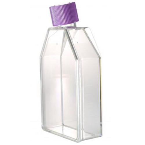 IWAKI Tissue Culture Flask Treated 60 ml Vented Cap [3113-025X]