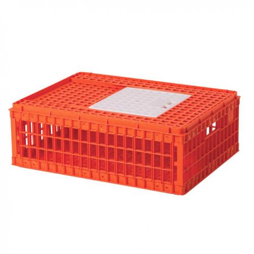 Rabbit Container Plastik Ayam 9006 Orange