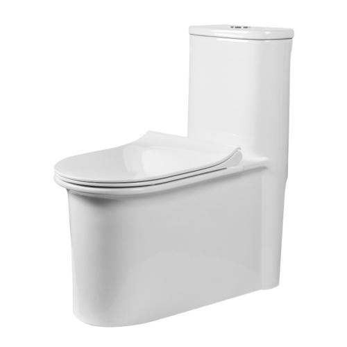 AER Siphonic One Piece Toilet OSC 04