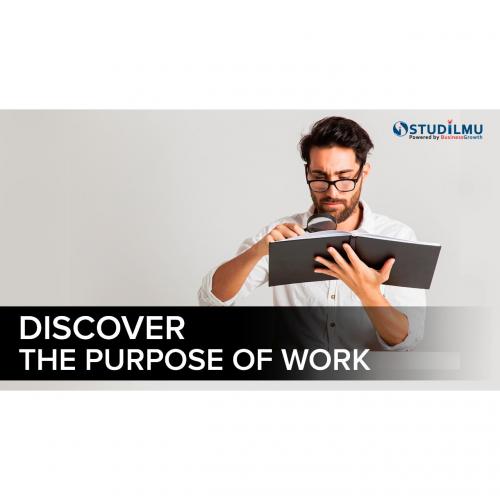 STUDiLMU Discover The Purpose of Work