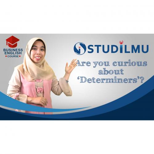 STUDiLMU Are You Curious About Determiner?