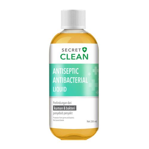Secret Clean Antiseptic Antibacterial Liquid 250 ml