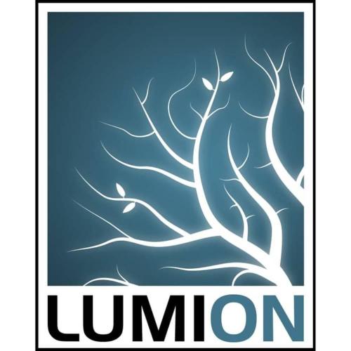 Lumion 11 Standard License 1 - 5 Units