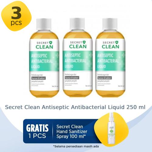 Secret Clean Antiseptic Antibacterial Liquid 250 ml 3 Pcs