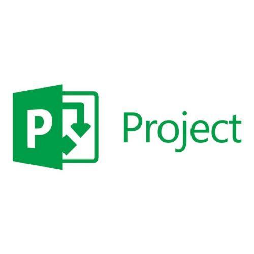 MICROSOFT Project Professional 2021 ESD