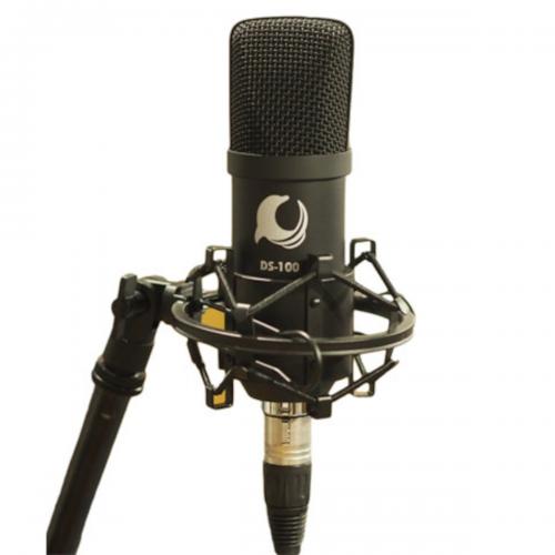 ISK Dolphin Sound Microphone Condenser DS 100