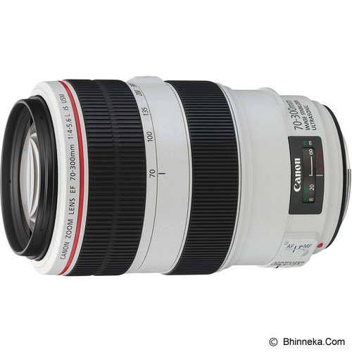 CANON EF 70-300mm f/4-5.6L IS USM