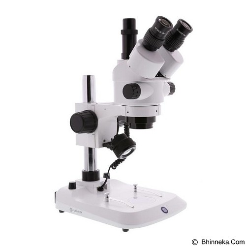 EUROMEX Holland Microscope SB.1903-P