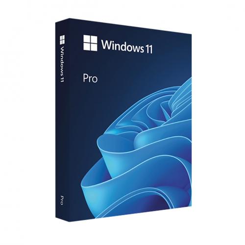 MICROSOFT Windows 11 Pro HAV-00165