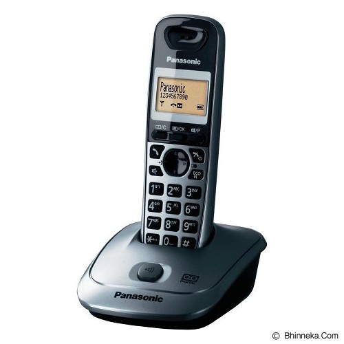 PANASONIC Cordless Phone KX-TG2511 - Silver