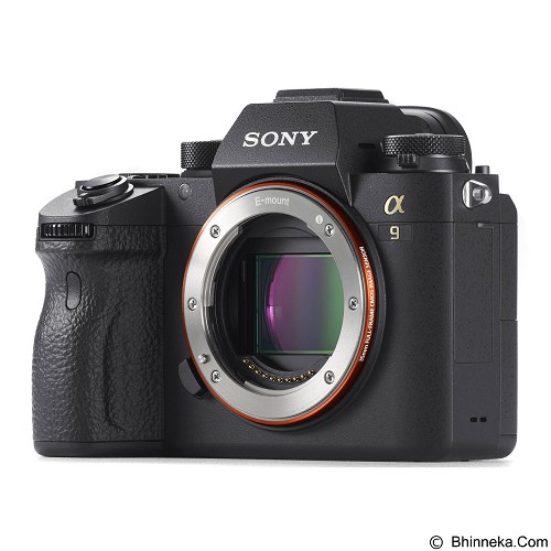 sony a9 megapixels