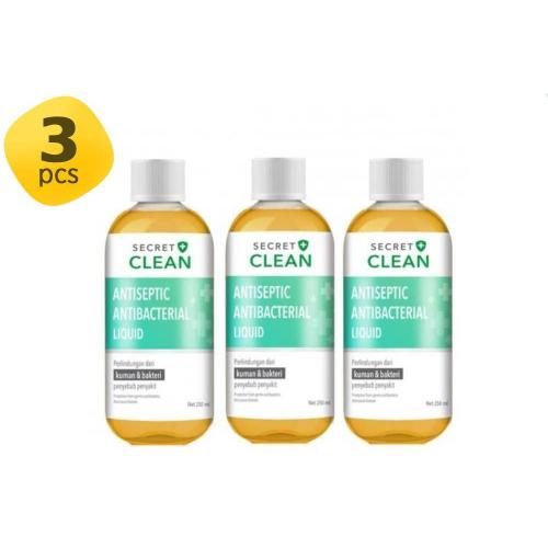 Secret Clean Antiseptic Antibacterial Liquid 250 ml 3 Pcs
