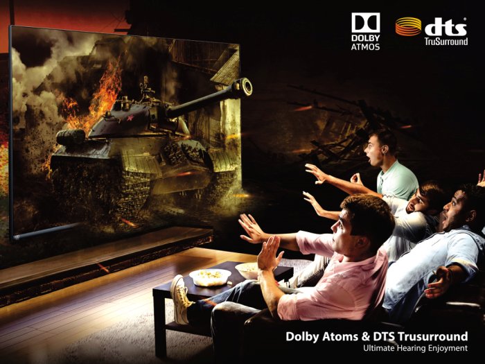 Dolby Audio DTS Surround