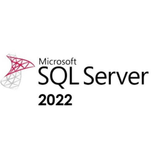 MICROSOFT SQL Server 2022 1 User CAL CSP